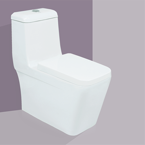 FLORA Siphonic One Piece Toilet Strap 300 MM
