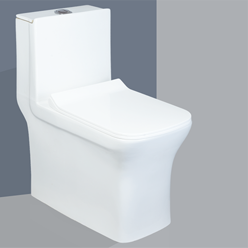 COZY One Piece Toilet 220mm