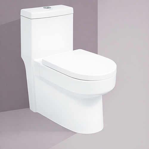 COSMO One Piece Toilet